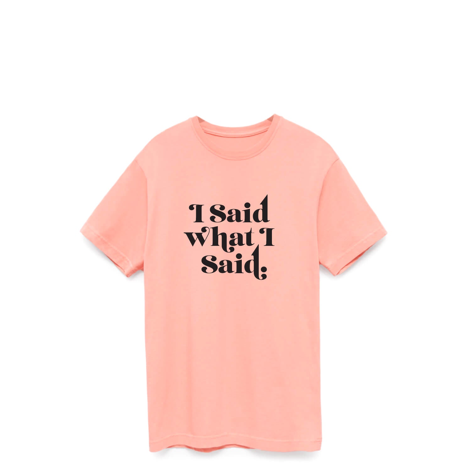 I Said What I Said T-Shirt