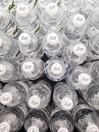 Personalized Water Bottle Labels-Palm Tree